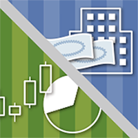 楽天・ターゲットイヤー2055/2060